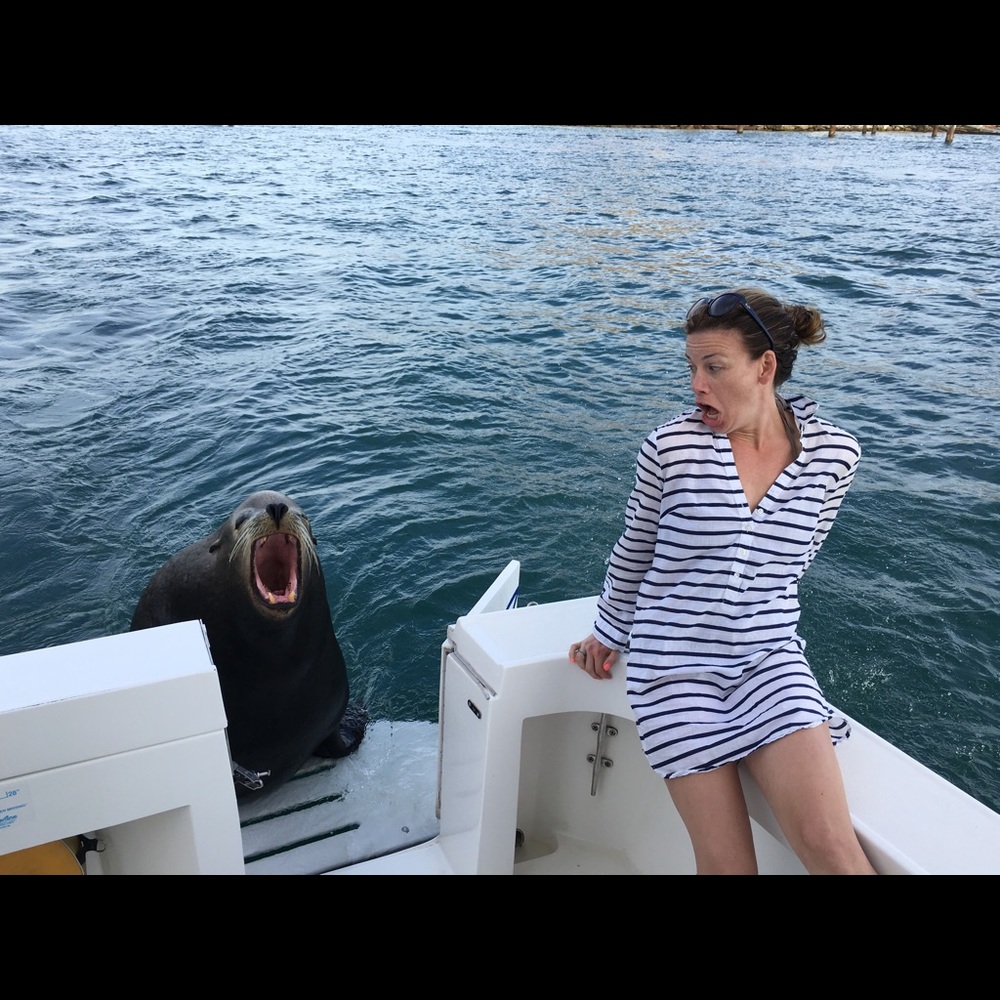 Meet your Posher, Laura